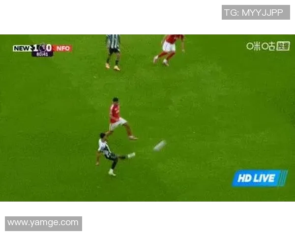 追踪足球明星动态的必备软件推荐及功能解析